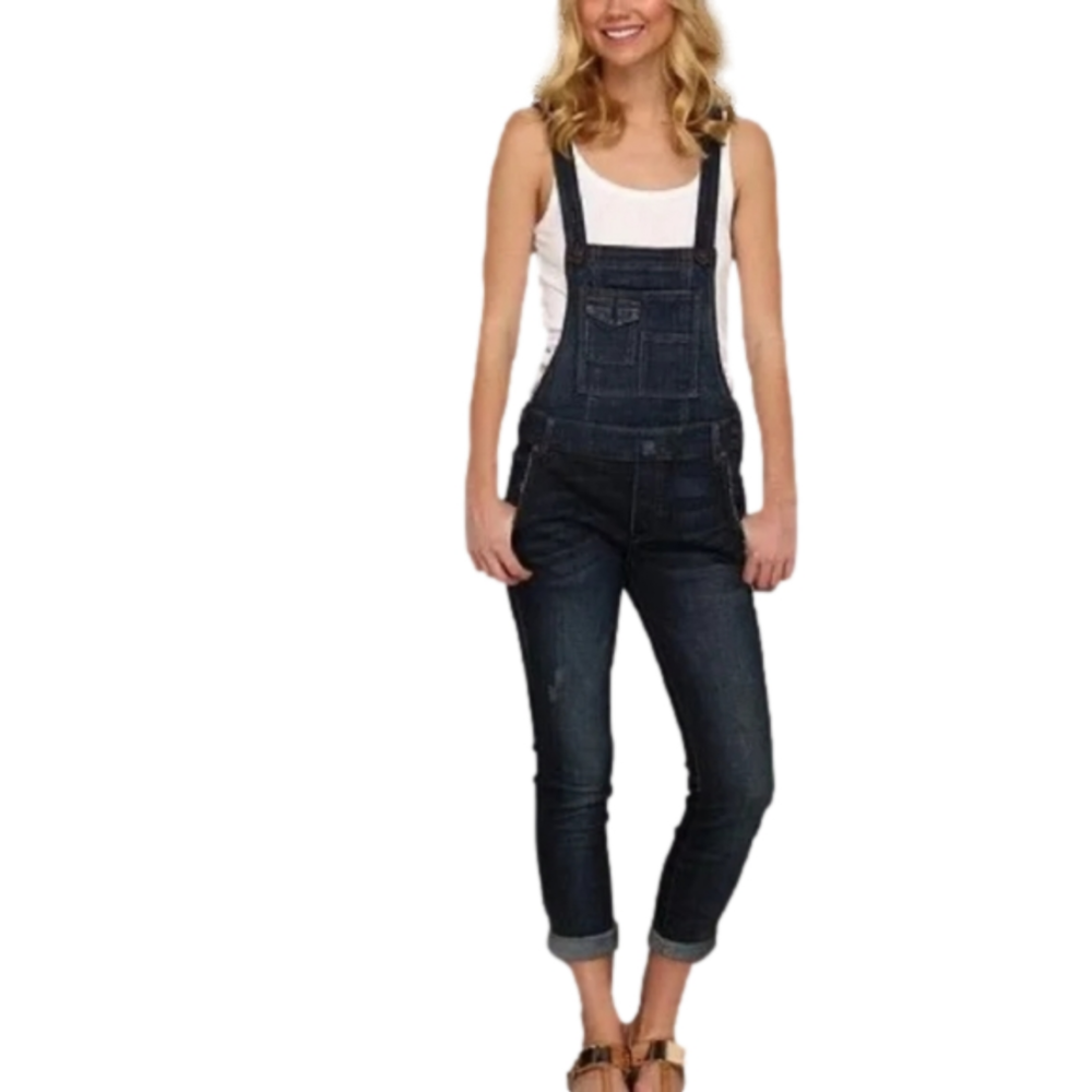 Free People Indigo Denim Overalls